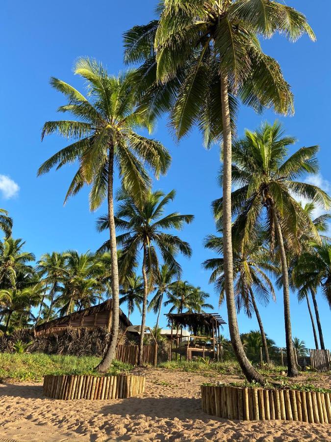 Bahia Surf Camp Hotell Abrantes Eksteriør bilde