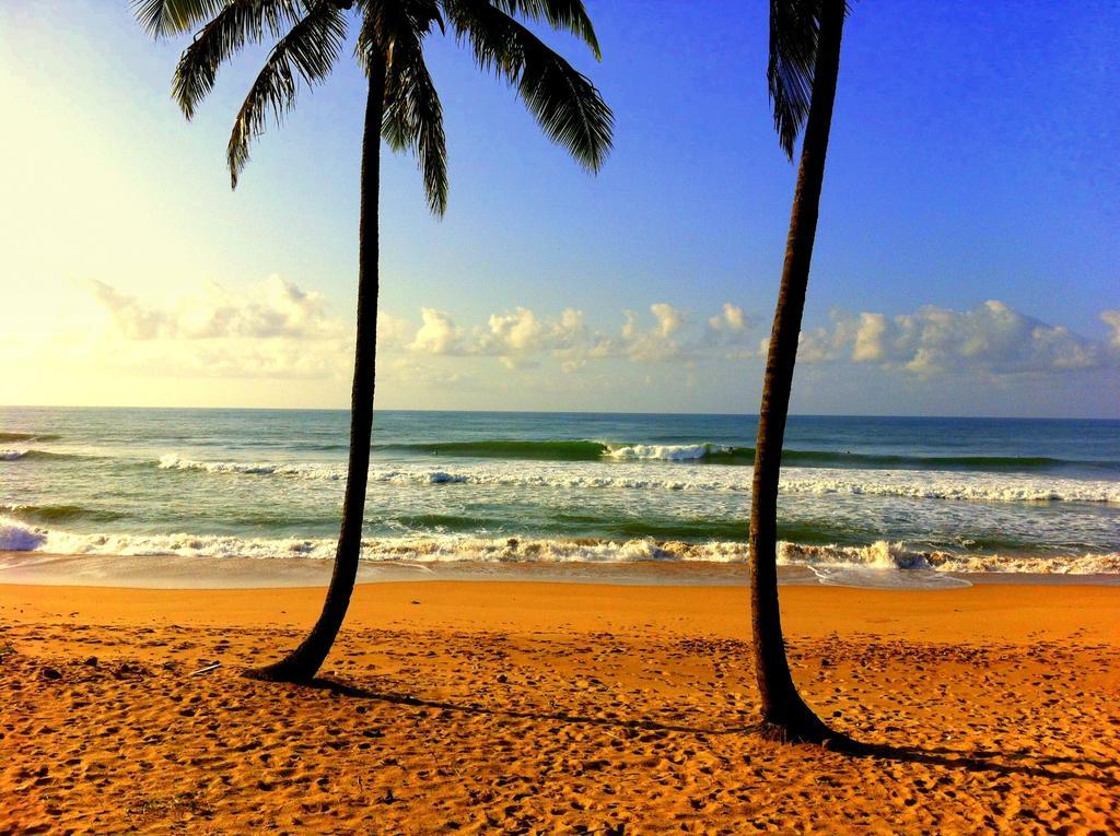 Bahia Surf Camp Hotell Abrantes Eksteriør bilde