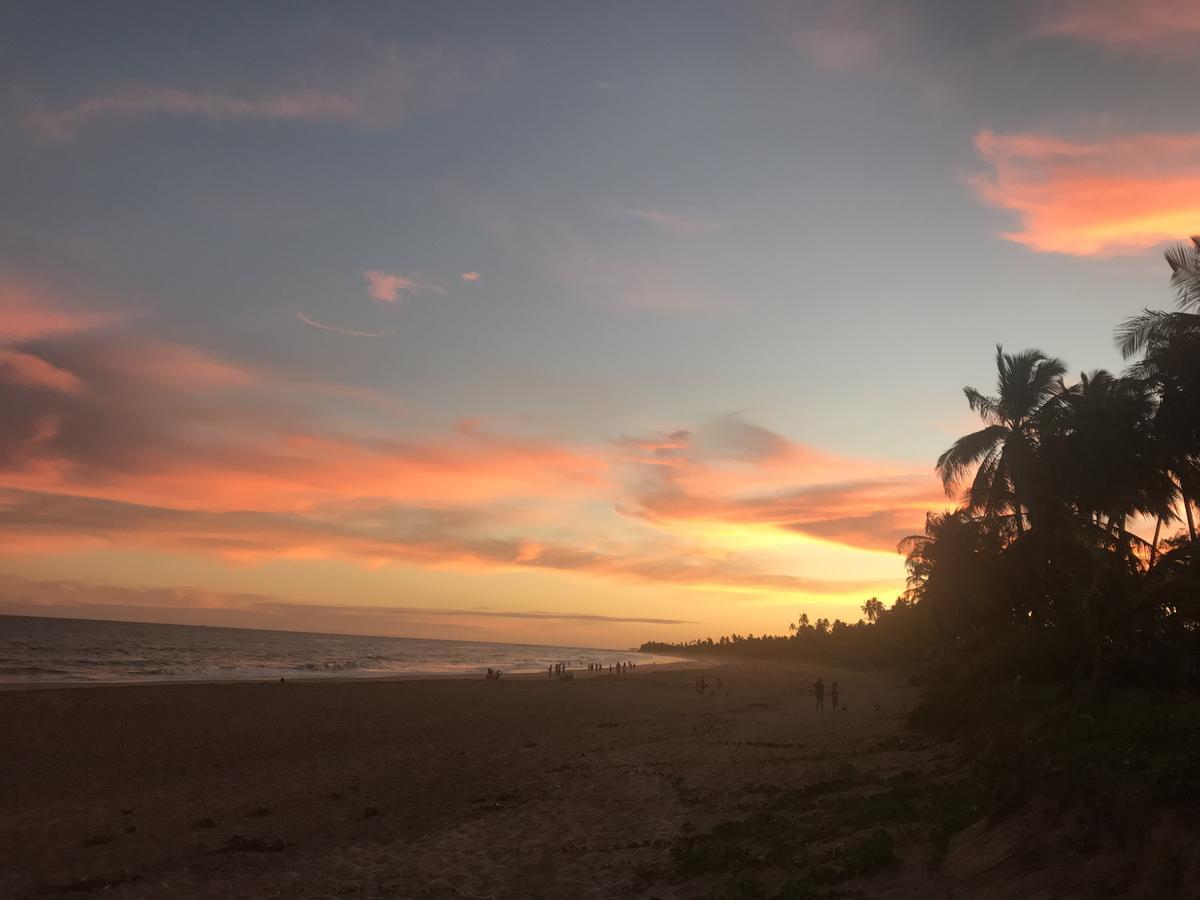 Bahia Surf Camp Hotell Abrantes Eksteriør bilde